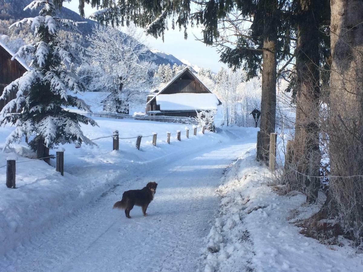 Ferienwohnungen Gritzner Tröpolach エクステリア 写真
